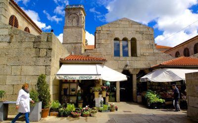 Kvalifikacijske norme za Svjetsko prvenstvo na 100km